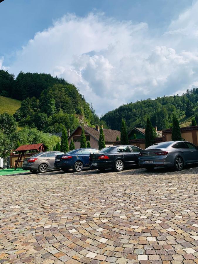 Pensiune Restaurant Piatra Craiului Dîmbovicioara Esterno foto