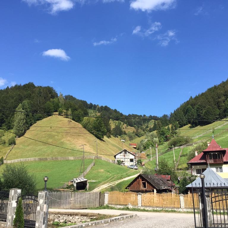 Pensiune Restaurant Piatra Craiului Dîmbovicioara Esterno foto
