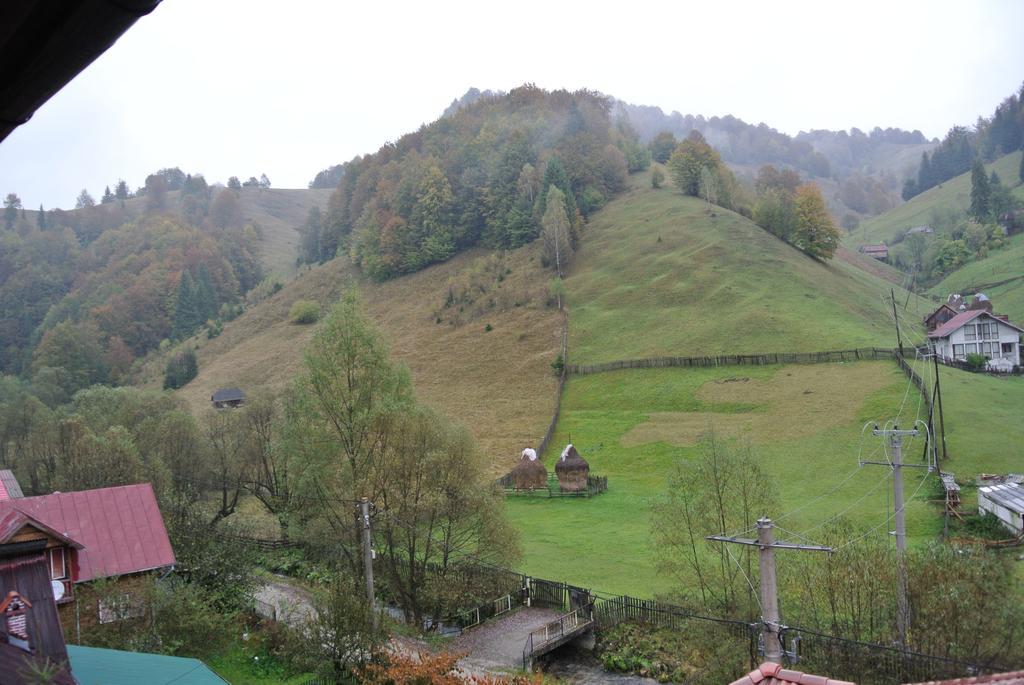 Pensiune Restaurant Piatra Craiului Dîmbovicioara Esterno foto