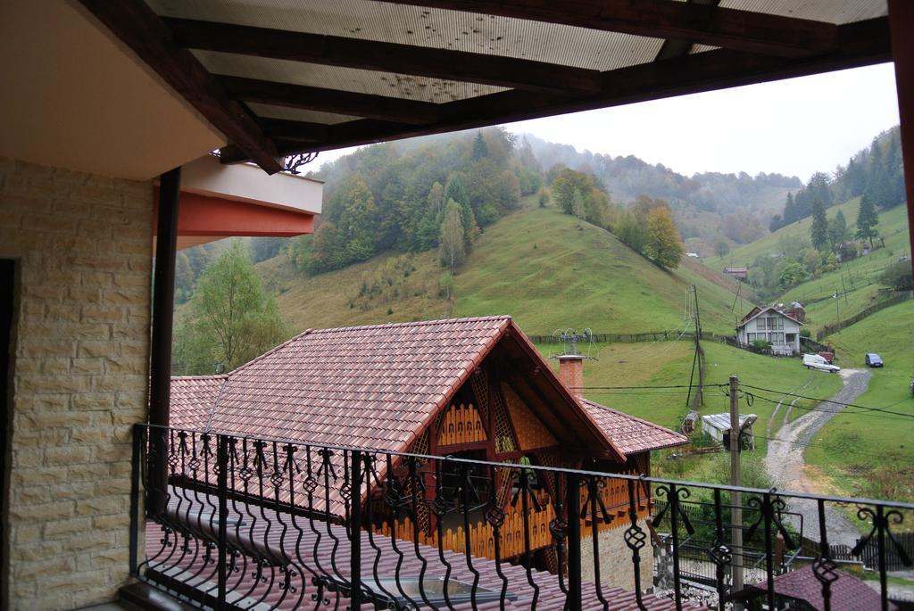 Pensiune Restaurant Piatra Craiului Dîmbovicioara Esterno foto